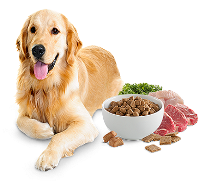 Dog Pet Food