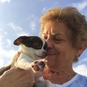 An elder pet sitter woman smiling as she holds a small black and white dog