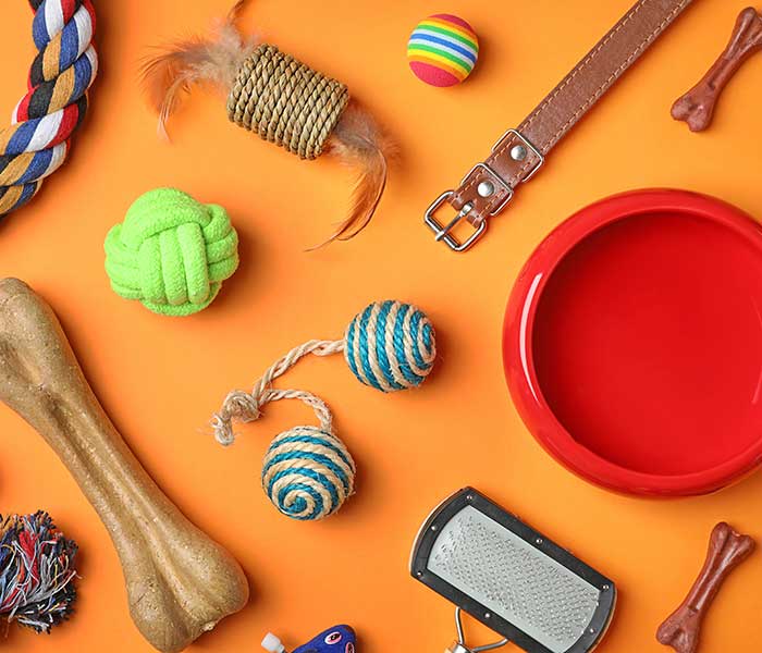 Top-down of assorted animal toys and supplies spread out across an orange background.