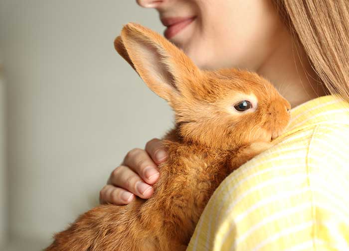 A woman with blonde hair holds a brown pet rabbit